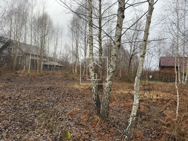 Teren intravilan 520 mp Valea Avrigului ideal cabana A-frame - 6