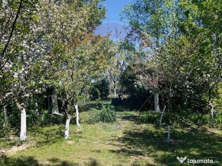 Casa / Vila cu 4 camere de vanzare - 4