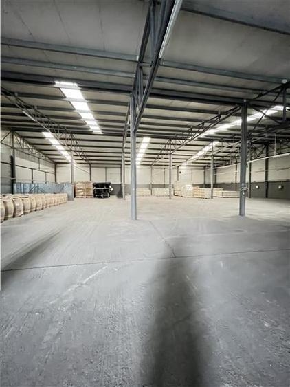 Inchiriere Hală Industrială in Brazi - 1