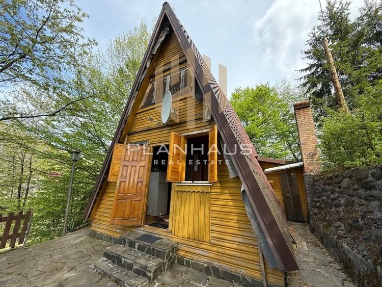 Cabană cochetă – Firiza - 1