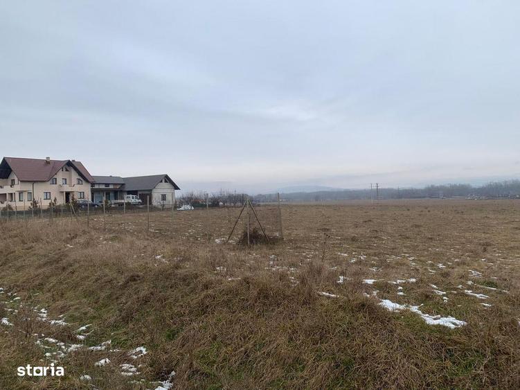 Cedare concesiune teren 2.000 mp | Todire?ti (Parhau?i) - 4