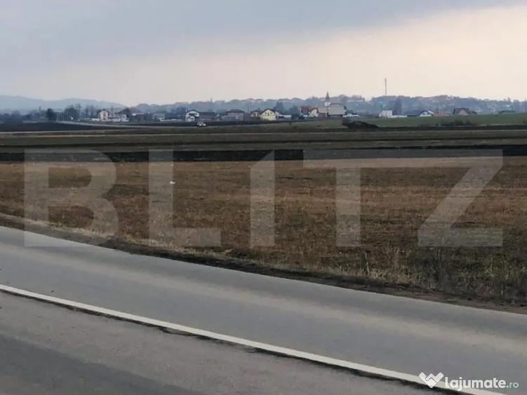 Teren extravilan de vanzare, 30.000 mp, cu potential de con - 3