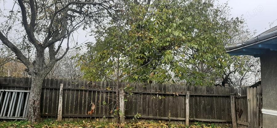 Vand casa taraneasca Brosteni,Bahna,Neamt - 2