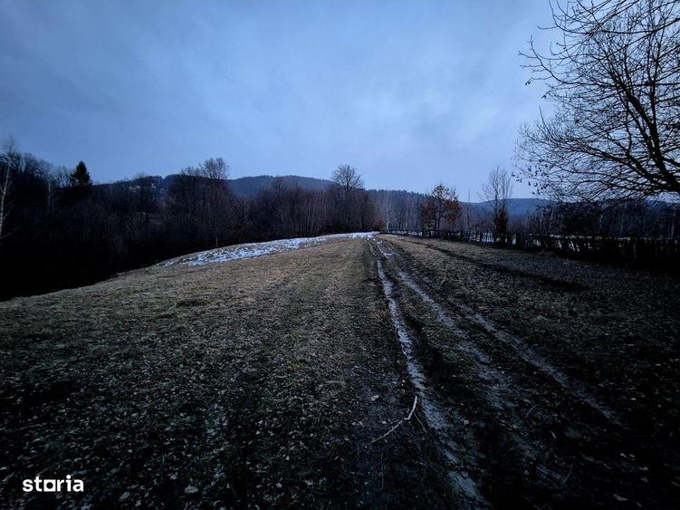 Teren 5000 mp extravilan Sinca Noua - 3