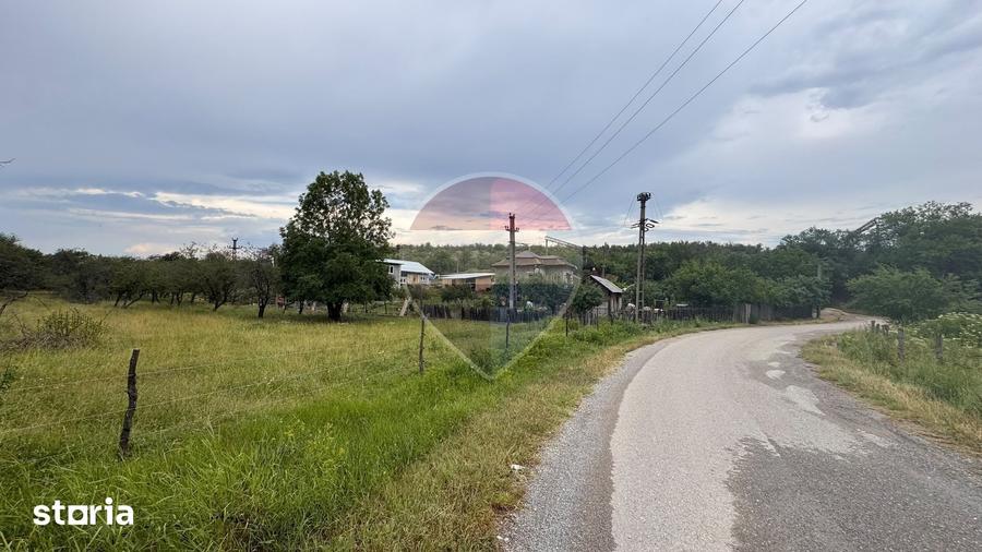 Teren de 20798 mp, în Prunișor