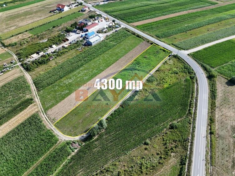 Teren intravilan de vânzare - 4300 mp | Deschidere generoasă | Fărcașa, MM - 2