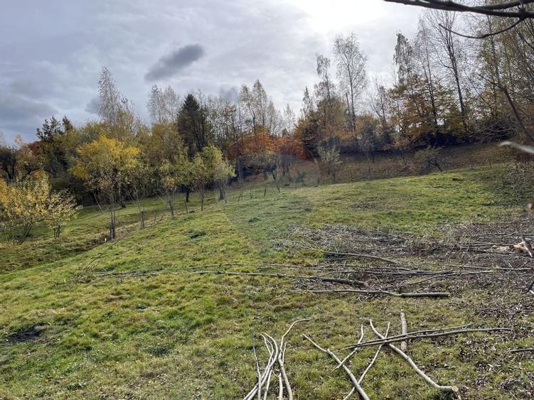 Teren de Vis in Bran - 1000mp Plat, Liniste Absoluta si Aer Curat - 21