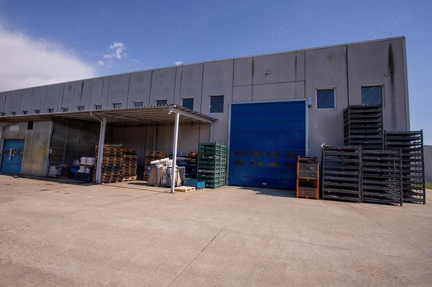 Hala industriala de vanzare, situata in Titesti-Mioveni, Arges, 5100mp - 7