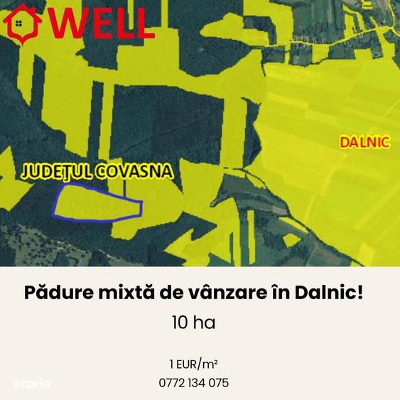 Padure mixta de vanzare in Dalnic! - 6