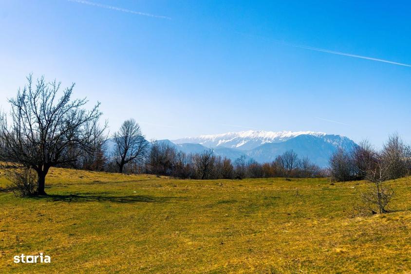 Teren 6 Hectare cu PUZ pentru Resort Turistic panorma Muntii Piatra Cr - 9