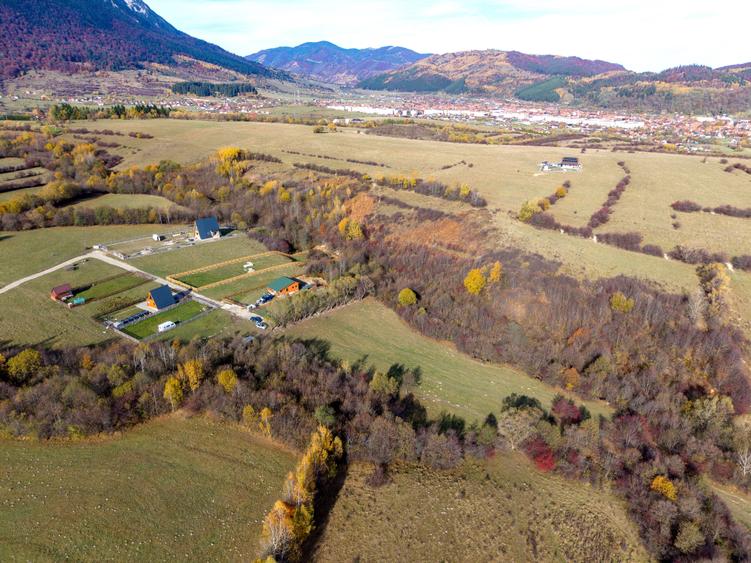 Teren intravilan 5723mp Zarnesti Tohanita- case de vacanta,investitie in turism - 16