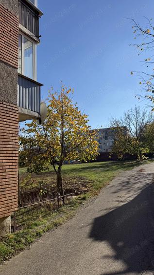 Buzias Timis apartament cu 1 camera de vanzare complet mobilat si izolat - 12