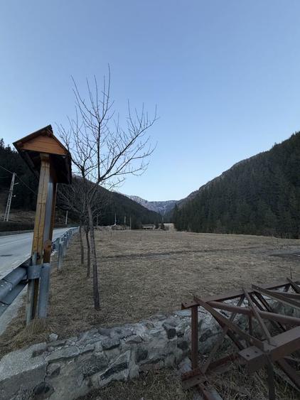 Teren de vanzare - 2