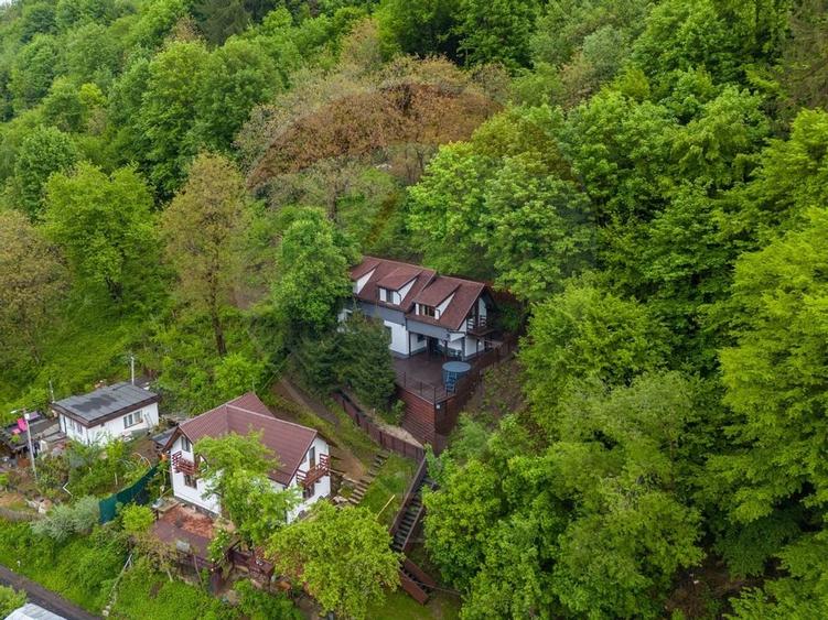 Casa in inima naturii - potential turistic - Centrul Istoric! - 34