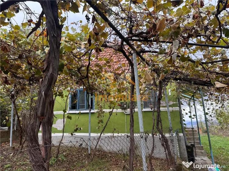 TEREN | 9341 MP | BALNACA GROSI | BIHOR - 1