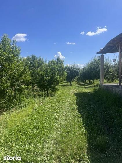 Casa de vanzare Voinesti Dambovita - 5