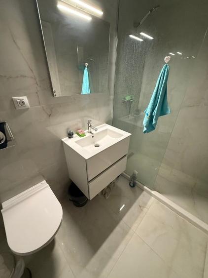 Apartament 2 camere Central Park 4 - de inchiriat - 8