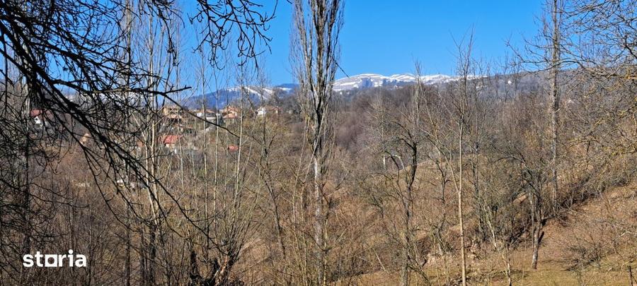 TEREN INTRAVILAN, 2142 mp, COMARNIC PRAHOVA, PODUL LUNG - 2