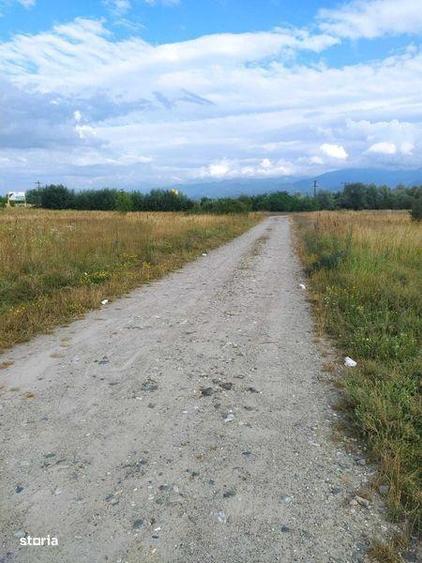 Vand teren pe Valea Avrigului - 2