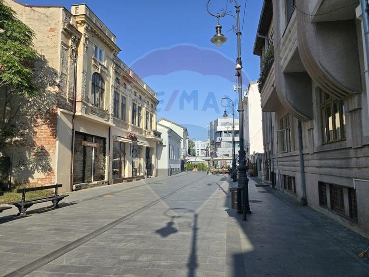 Apartament cu 3 camere de vanzare in zona Central - 20