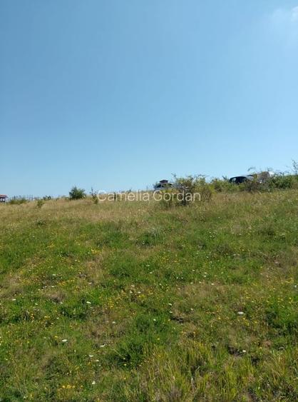 Vanzare 2 parcele de teren intravilan, Chinteni, pret unitar 10900 Eur