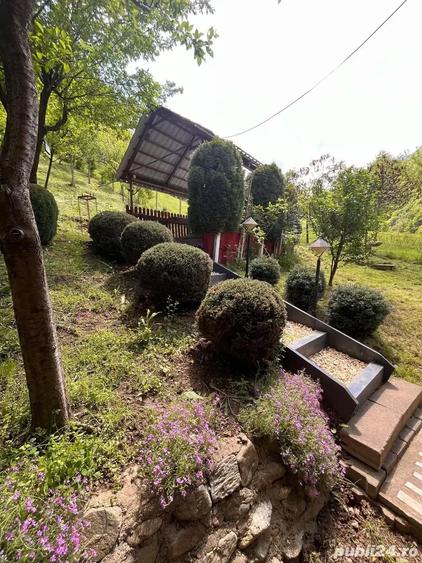 Vand cabana casa de vacanta - 1