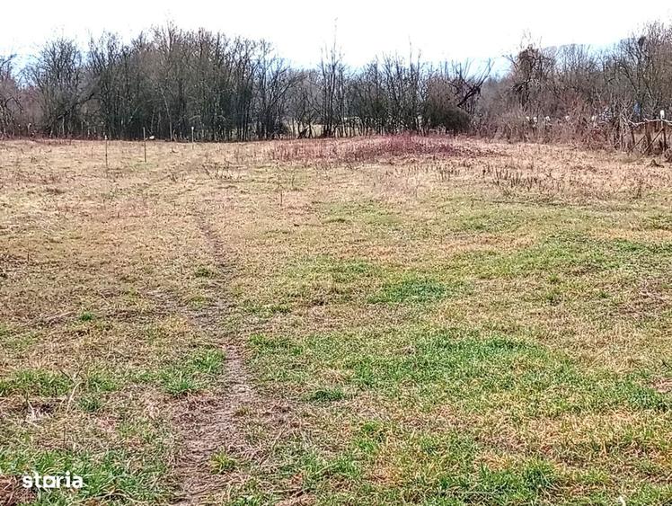 Loc de casa in Pescari - 3