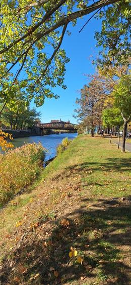 Paltim - Apartament spatios cu 4 camere 109 mp utili, etajul 1, langa Bega - 8