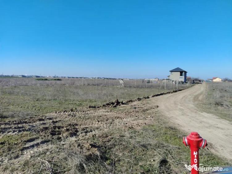 Teren extravilan, Carcea, 988 mp - 1