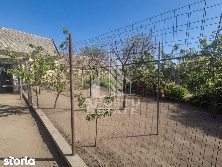 PROPRIETATE PREMIUM TEREMIA MARE - APOSTU ESTATE - 16
