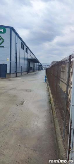 Hale noi 475 mp Afumati -Doraly - 6