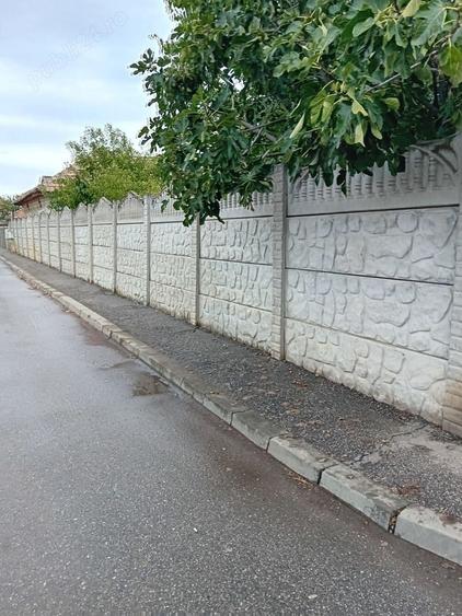 Vand Casa Caracal - 4