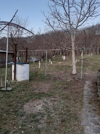 Casa si teren Buhea de Jos, Prahova - 7