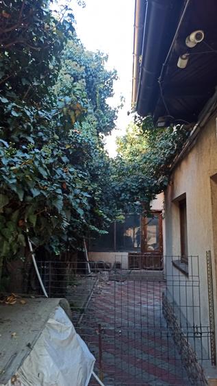 Drumul Sarii - Razoare - 17