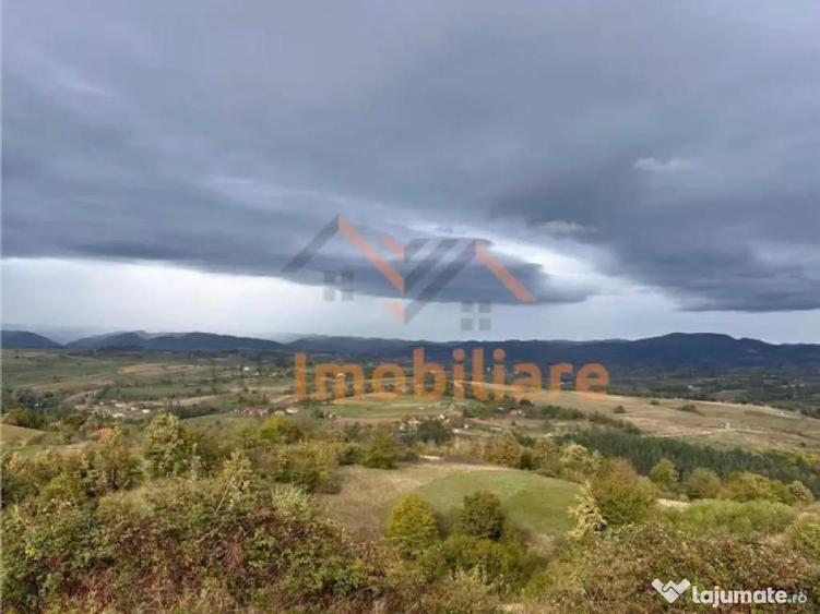 TEREN | 9341 MP | BALNACA GROSI | BIHOR - 3