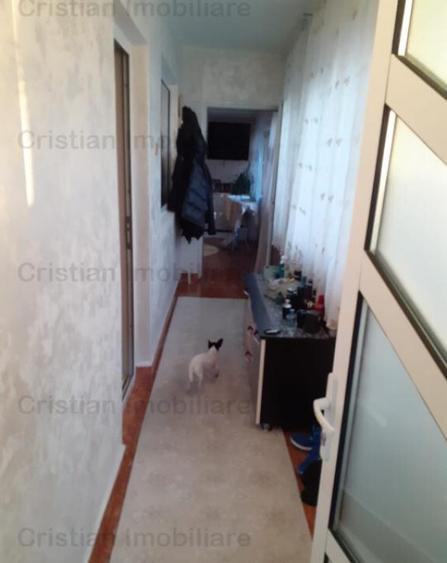 SUPER VILA 2018 P M SPATIU COMERCIAL 400mp. MOBILAT, Cher - 14