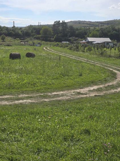 Teren intravilan de vanzare - 1