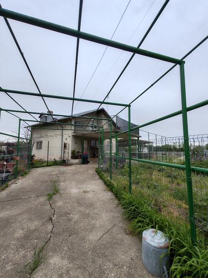 Casă + teren 4200 mp, vie, curent, fosa, anexă – Crevedia Mare, Giurgiu - 3