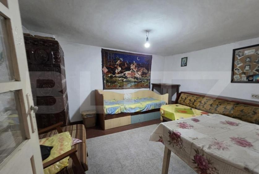 Casa cu teren generos ?i balta de pescuit Gae?ti - 12