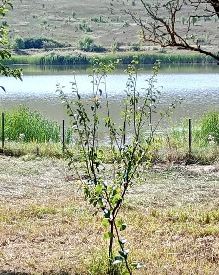 Casă individuală, teren 900 mp, Câmpenești Cluj - 4