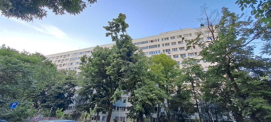 Dristor, intersectia Liviu Rebreanu cu Camil Ressu, metrou la 450 m - 14