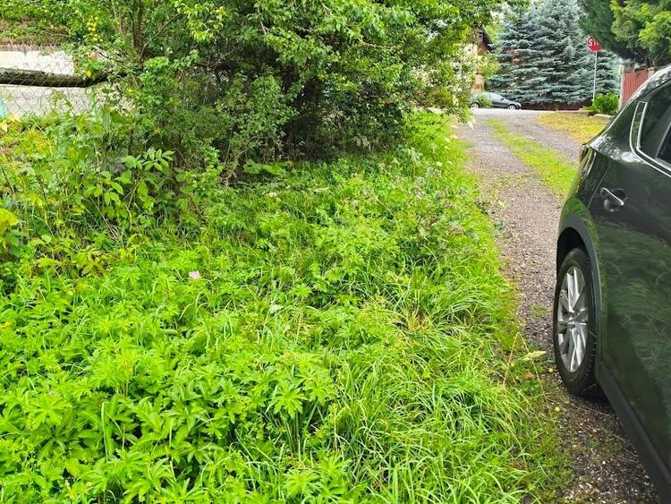 Teren intravilan de vanzare in Azuga - 4