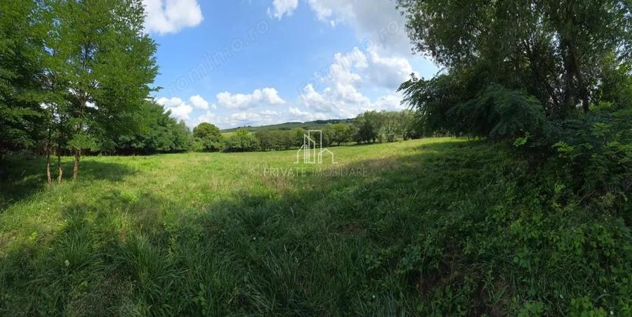 Teren, Albe?ti, str Podului - 2