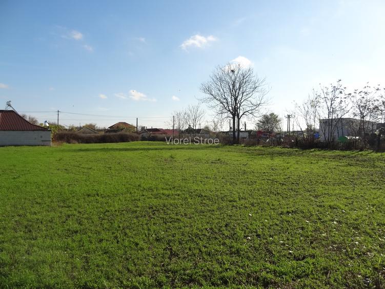 Teren cu casa, 3600mp, 4 camere de vanzare in Nicolae Balcescu