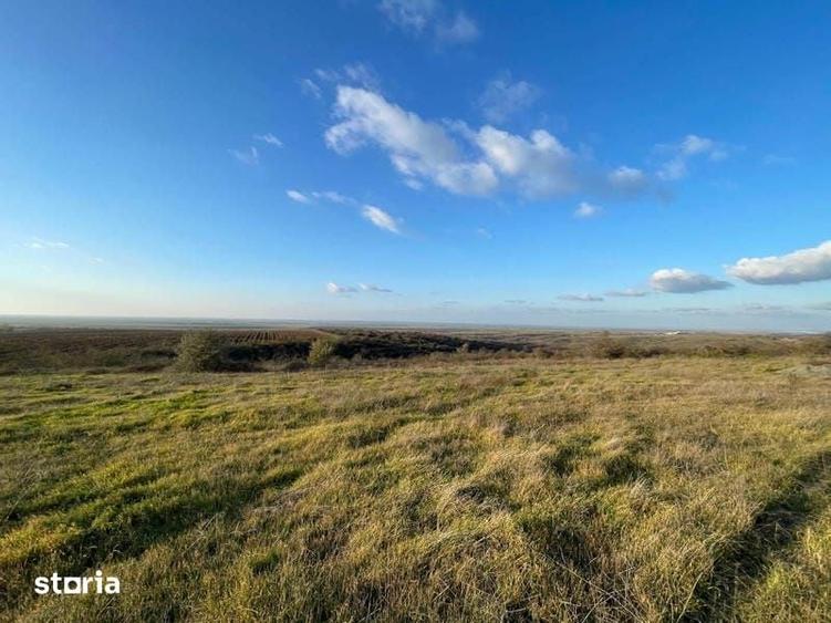 RASOVA Cochirleni Teren extravilan 38 Hectare comasat 100% - 8