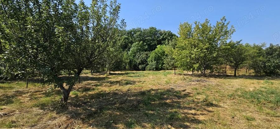 Casă cu 4 camere în Ghirdoveni