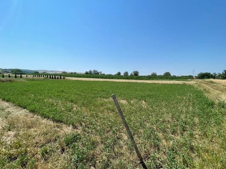 Teren Construcții intravilan de 1165 mp, în Oarda