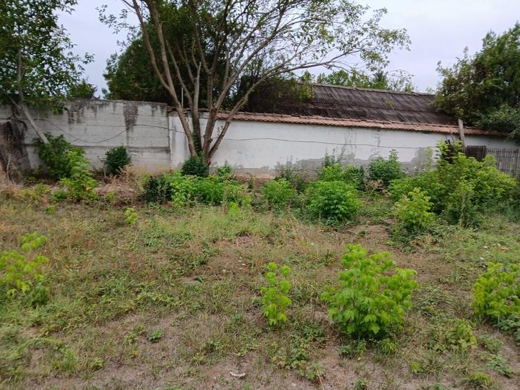 Teren de 500 mp, în Snagov