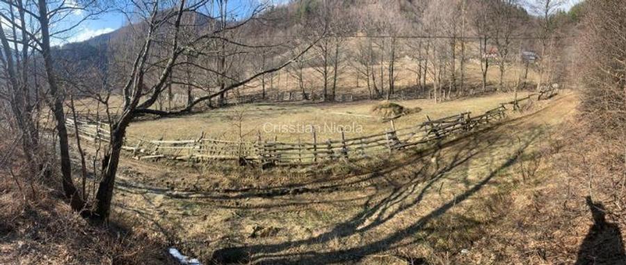 Teren Nehoiu, pentru cabană offgrid sau glamping