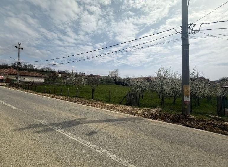 Teren de 1500 mp, în Nord-Est